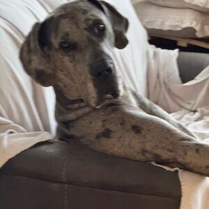 Like this listing to be notified of our lives